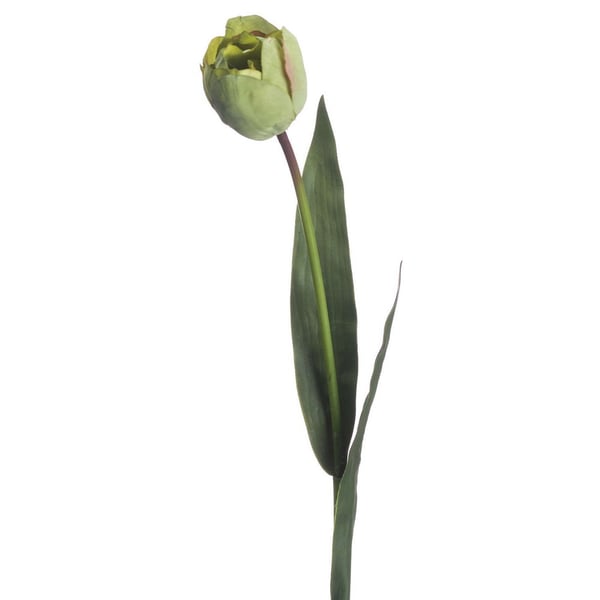 Hill Interiors Artificial Green Tulip Plant