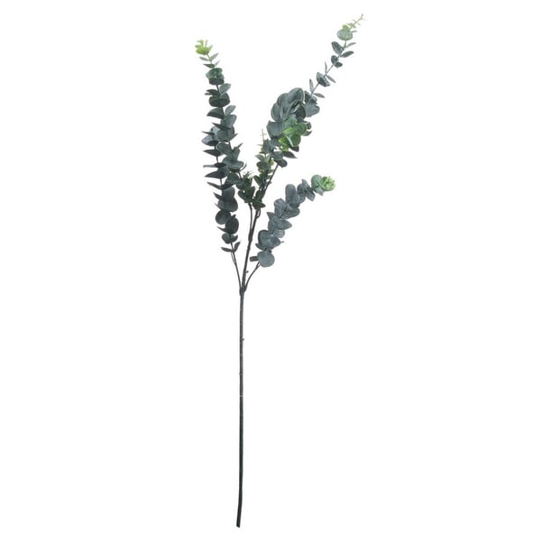 Hill Interiors Artificial Tall Single Stem Silver Dollar Eucalyptus