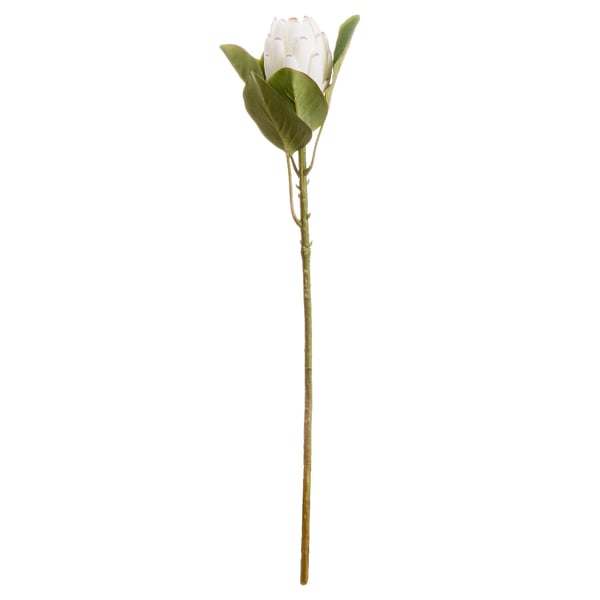 Hill Interiors Artificial Closed Protea Flower