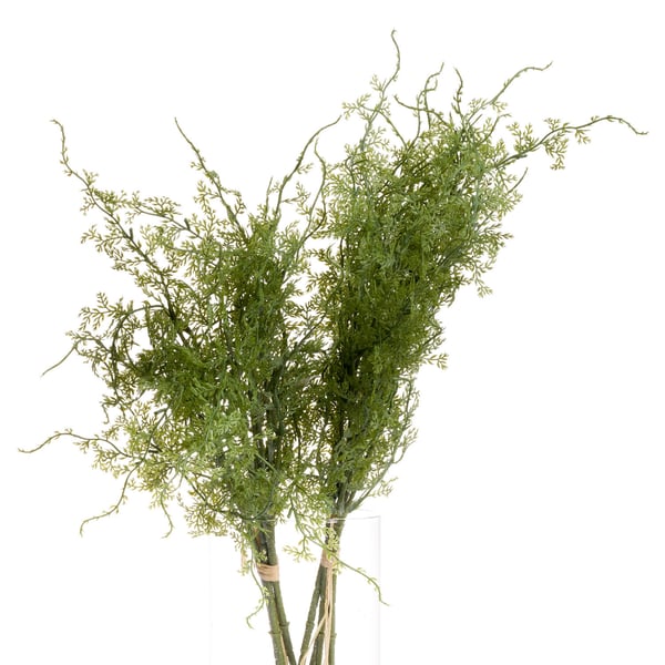 Hill Interiors Asparges Bregne Kunstig plante