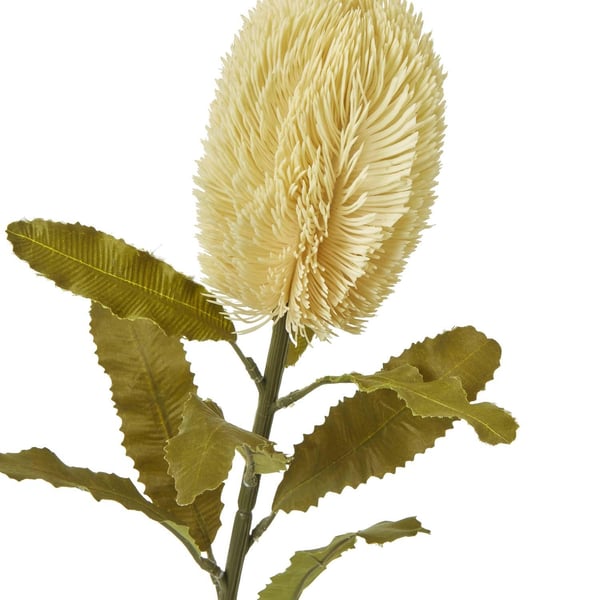 Hill Interiors Banksia Serrata Artificial Flower