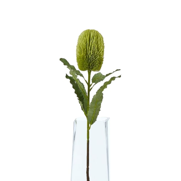 Hill Interiors Banksia Serrata Artificial Flower