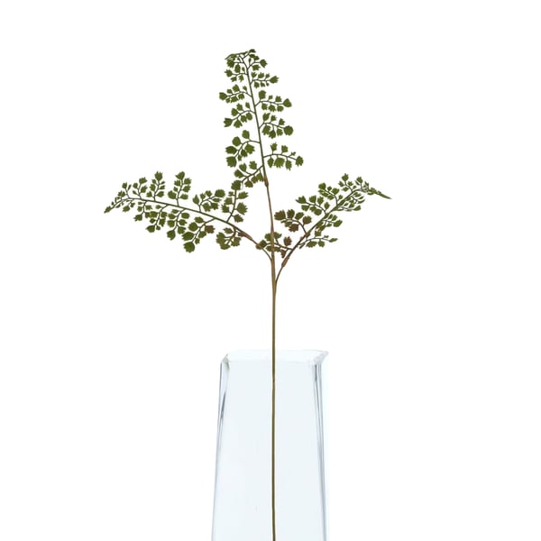 Hill Interiors The Natural Garden Collection Maidenhair Fern Artificial Flower