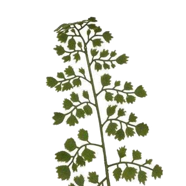 Hill Interiors The Natural Garden Collection Maidenhair Fern Artificial Flower