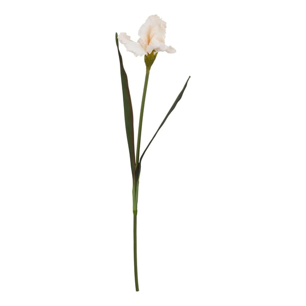 Hill Interiors The Natural Garden Collection Fringed Iris Artificial Flower Hill Interiors The Natural Garden Collection Fringed Iris Artificial Flower
