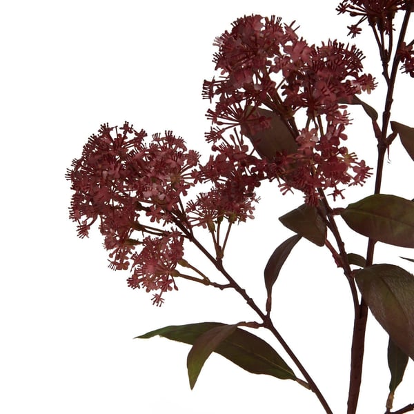 Hill Interiors Smokebush tekokukka