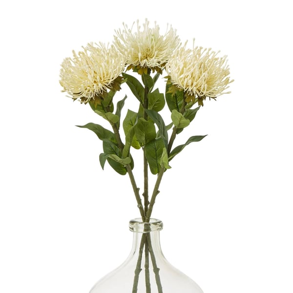 Hill Interiors Protea Lorea -keinokasvi, varsi