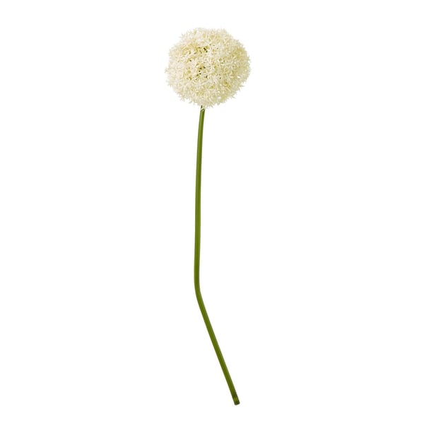 Hill Interiors Allium-varsi tekokasvi
