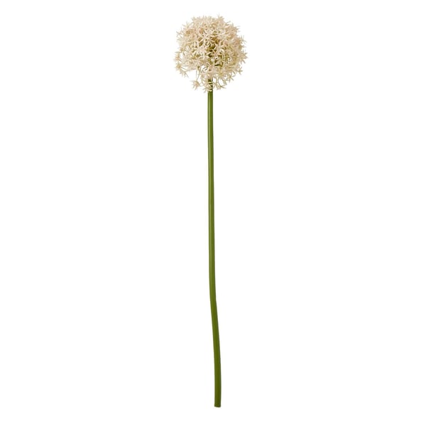Hill Interiors Allium-varsi tekokasvi