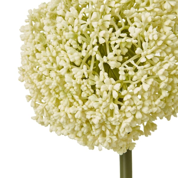 Hill Interiors Allium-varsi tekokasvi