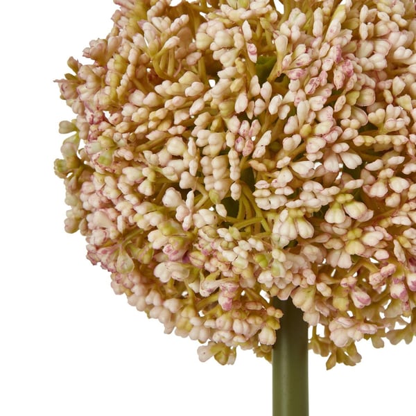 Hill Interiors Allium-varsi tekokasvi
