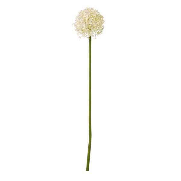Hill Interiors Allium-varsi tekokasvi