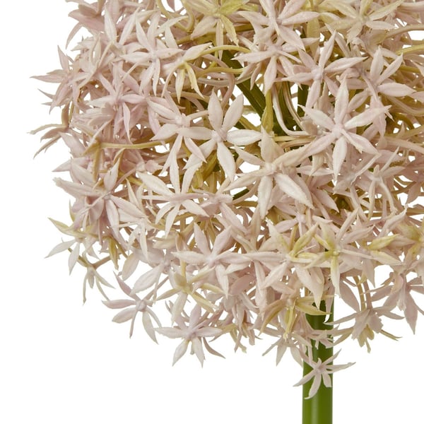 Hill Interiors Allium-varsi tekokasvi