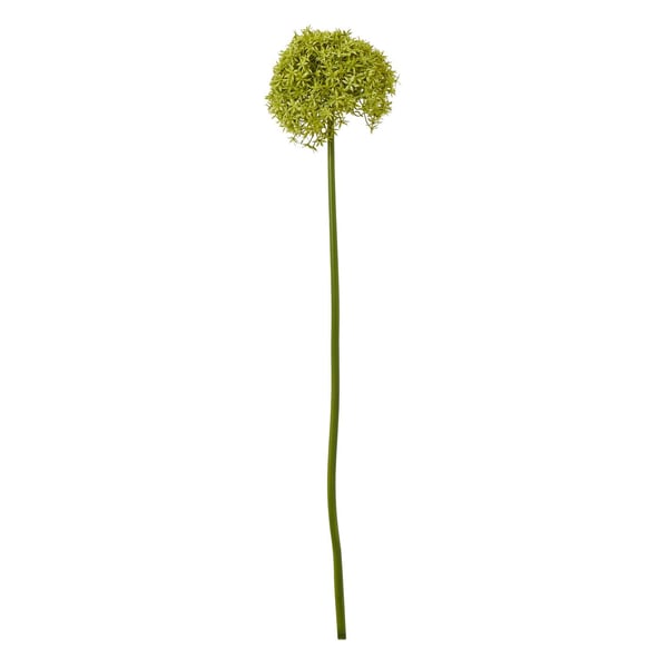 Hill Interiors Allium-varsi tekokasvi