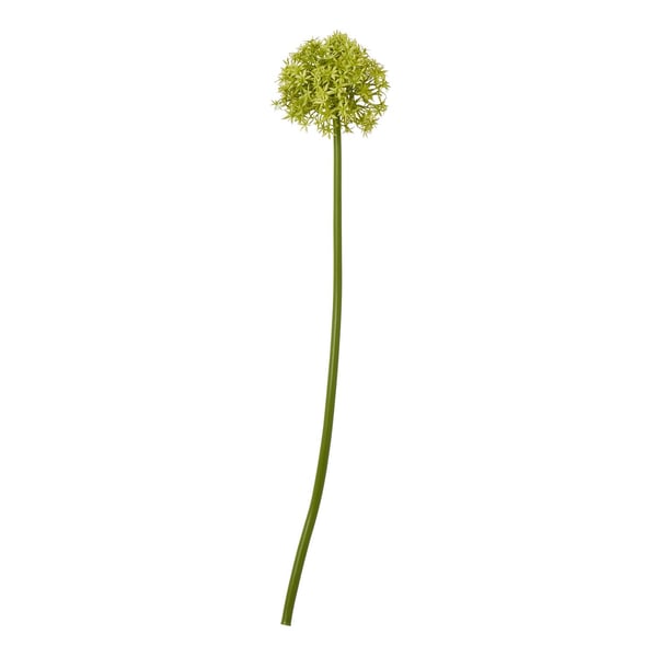 Hill Interiors Allium-varsi tekokasvi
