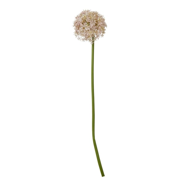 Hill Interiors Allium-varsi tekokasvi