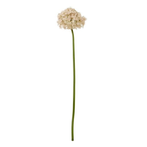 Hill Interiors Allium-varsi tekokasvi