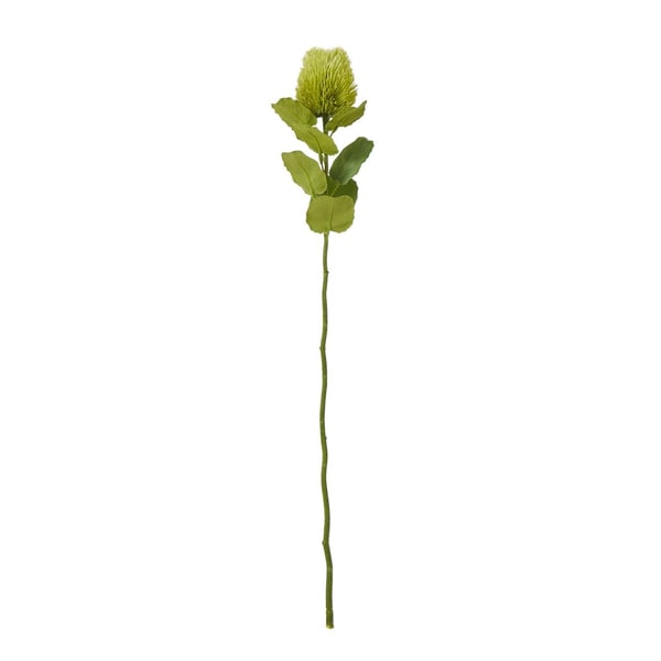 Hill Interiors Banksia Stem Artificial Plant Hill Interiors Banksia Stem Artificial Plant