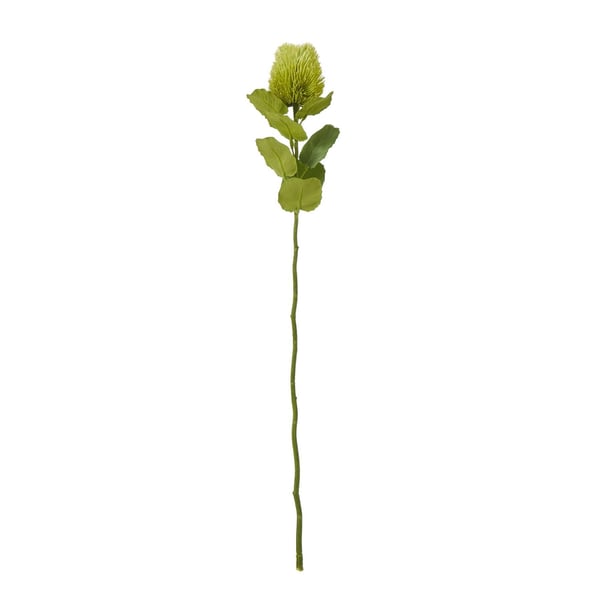 Hill Interiors Banksia Stem Artificial Plant