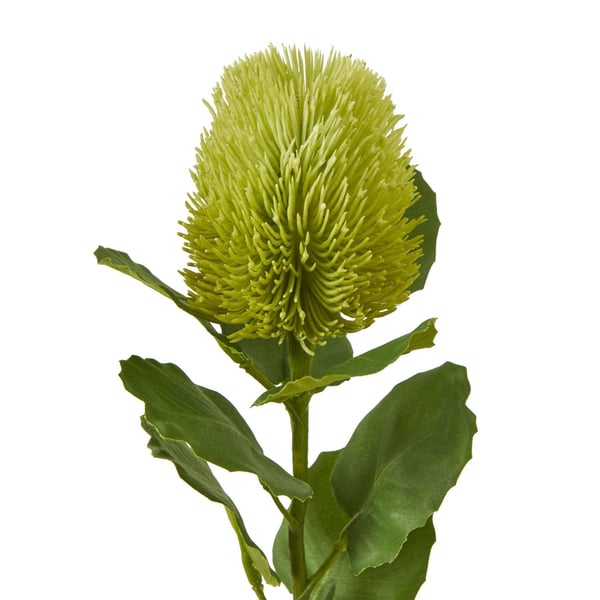 Hill Interiors Banksia Stem Artificial Plant