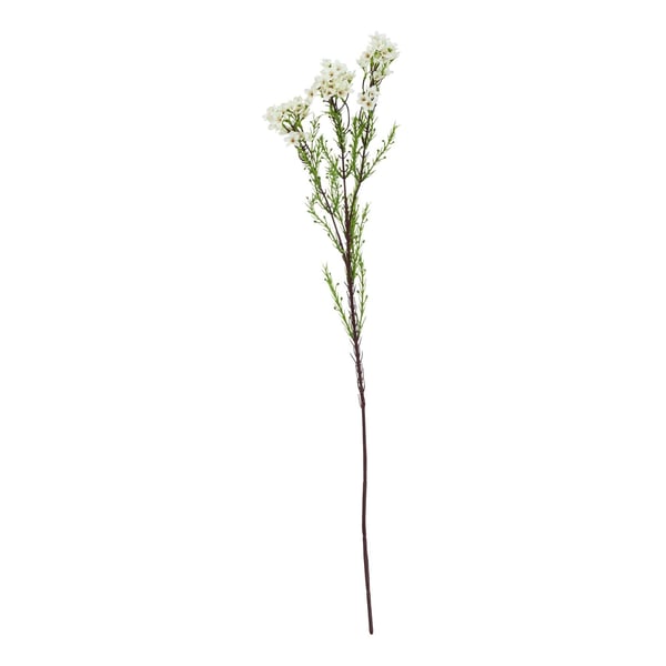 Hill Interiors The Natural Garden Collection Waxflower Artificial Flower Hill Interiors The Natural Garden Collection Waxflower Artificial Flower