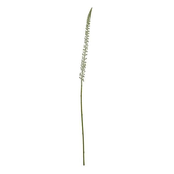 Hill Interiors Eremurus-varsi tekokasvi