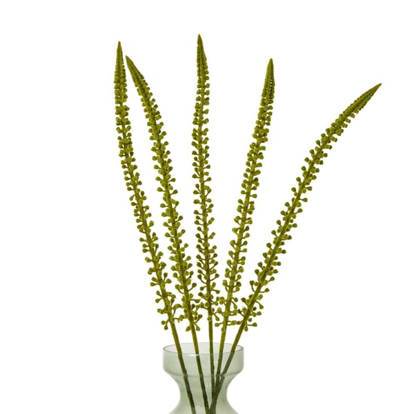 Hill Interiors Eremurus Stem Artificial Plant