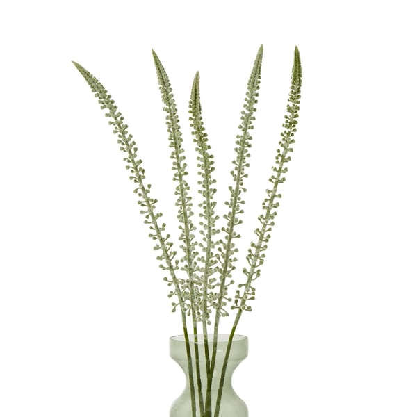 Hill Interiors Eremurus-varsi tekokasvi