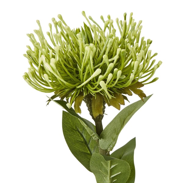 Hill Interiors Protea Lorea Stjälk Konstgjord Växt