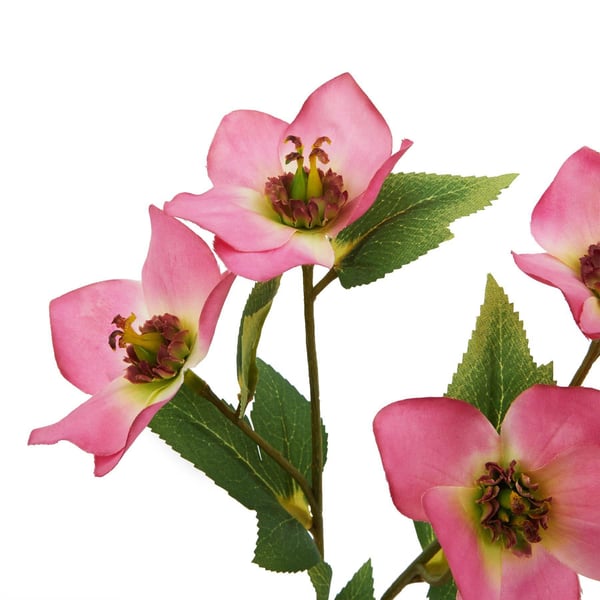 Hill Interiors The Natural Garden Collection Varigated Hellibore Artificial Flower