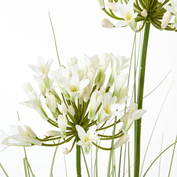 Hill Interiors Agapanthus Plant Pot