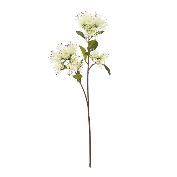 Hill Interiors Protea Nitida Stem Artificial Flower Spray Hill Interiors Protea Nitida Stem Artificial Flower Spray