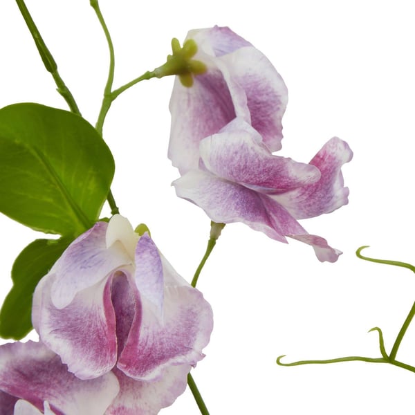 Hill Interiors The Natural Garden Collection Sweetpea Artificial Flower