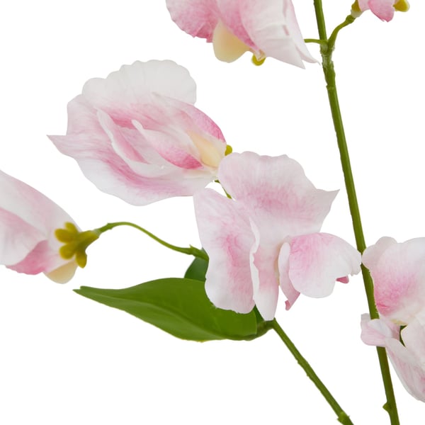 Hill Interiors The Natural Garden Collection Sweetpea Artificial Flower