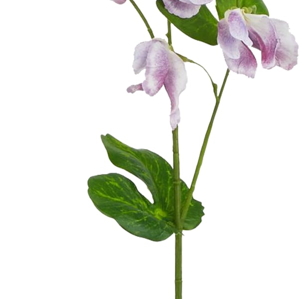 Hill Interiors The Natural Garden Collection Sweetpea Artificial Flower