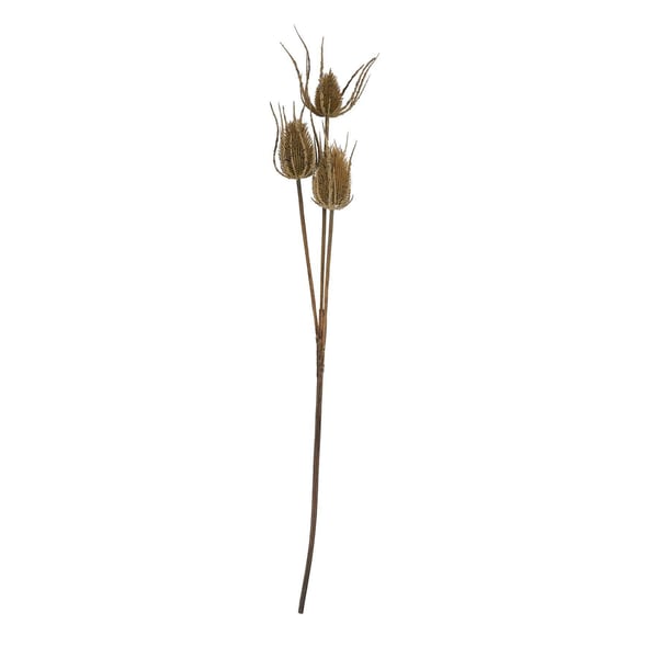 Hill Interiors Triple Teasel Artificial Flower Hill Interiors Triple Teasel Artificial Flower