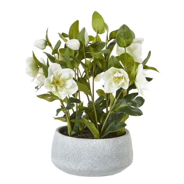 Hill Interiors Hellebore Artificial Potted Plant