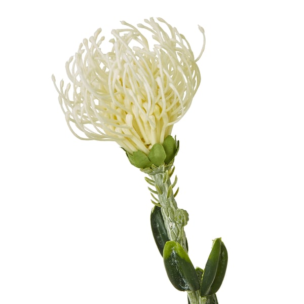 Hill Interiors Pincushion Protea Spray Konstgjord Blomma