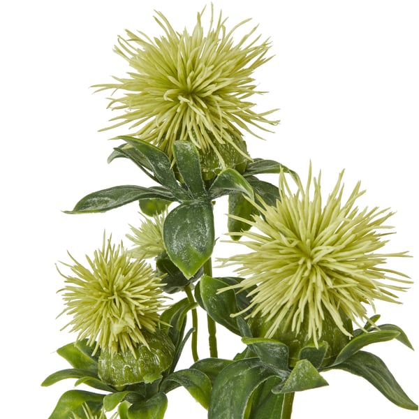 Hill Interiors Anemone Spray tekokukka