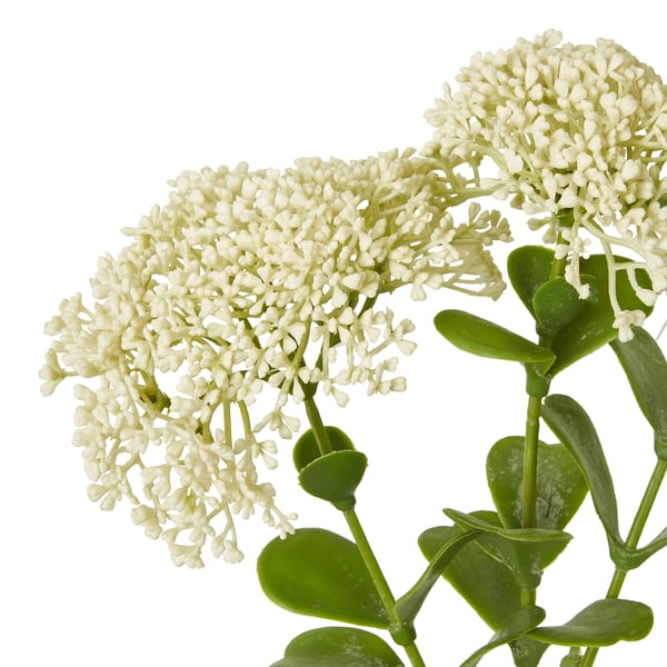 Hill Interiors Sedum Spray tekokukka