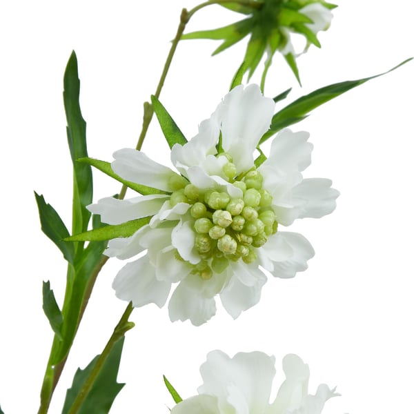 Hill Interiors The Natural Garden Collection Scabious Stem Artificial Plant