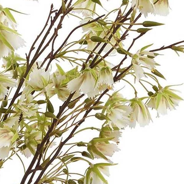 Hill Interiors Elaeocarpus Artificial Flower