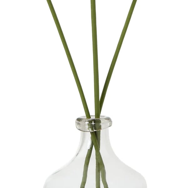 Hill Interiors The Natural Garden Collection Allium Artificial Flower