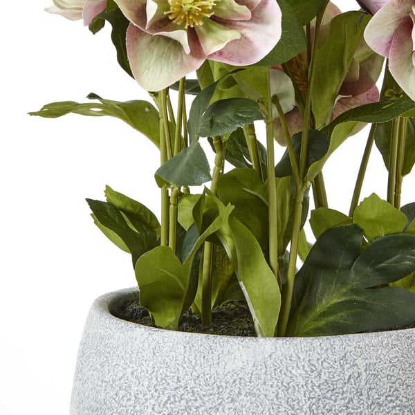 Hill Interiors Hellebore keinotekoinen ruukkukasvi