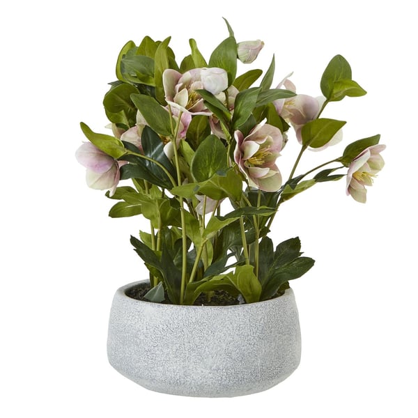 Hill Interiors Hellebore Artificial Potted Plant Hill Interiors Hellebore Artificial Potted Plant