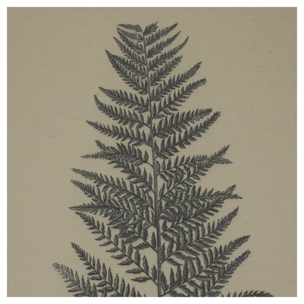 Hill Interiors Flora & Fauna Collection Beech Fern Linen Framed Wall Art