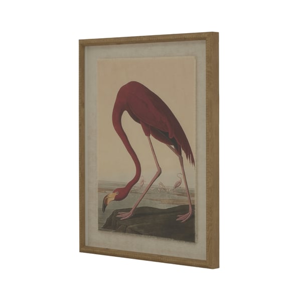 Hill Interiors Flora & Fauna Collection Flaming Linen Framed Wall Art Hill Interiors Flora & Fauna Collection Flaming Linen Framed Wall Art