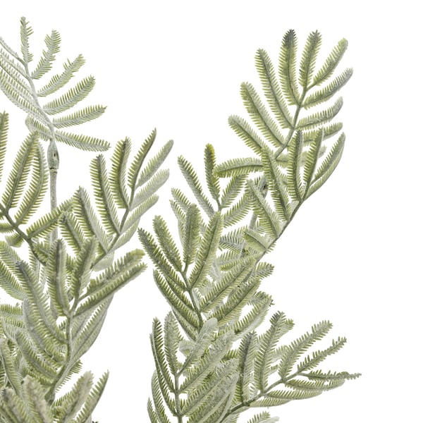 Hill Interiors Wattle Leaf tekokukka
