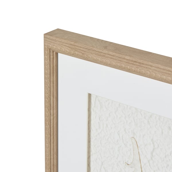 Hill Interiors Alta Feathers kehystetty taideprintti