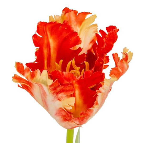 Hill Interiors Parrot Tulip Artificial Flower